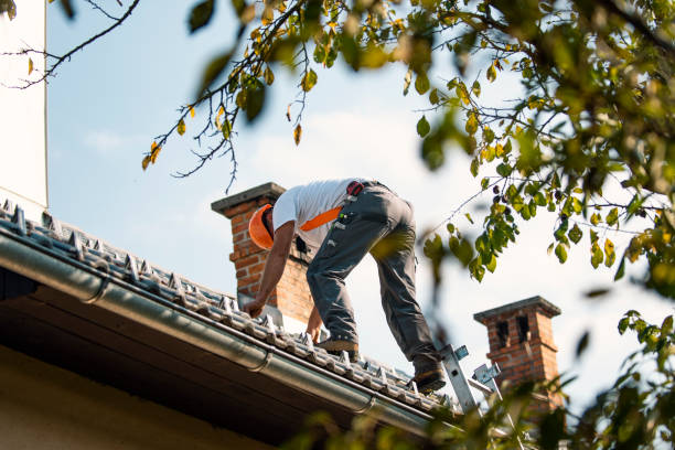 Best Roof Insulation Installation  in Worthington, OH