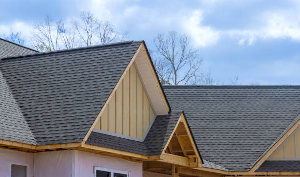 Best Roof Moss and Algae Removal  in Worthington, OH